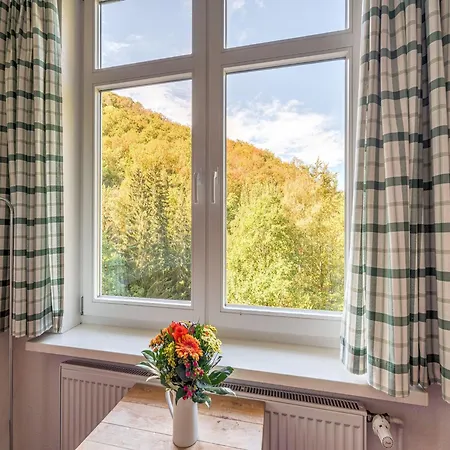 Apartamento Helle Mit Terrasse Und Sauna, Cleaning Included Bad Harzburg